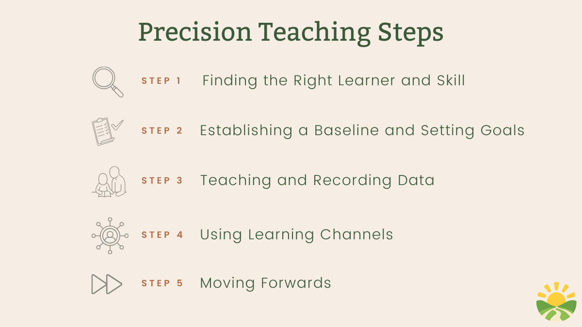 The steps of Precision Teaching
